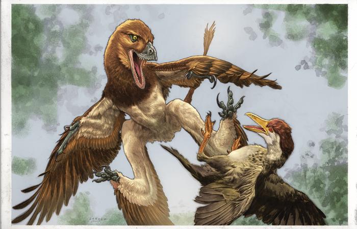 Life reconstruction