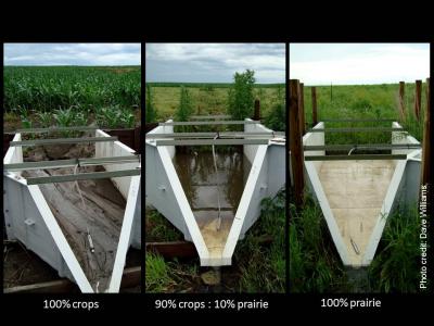 Soil Erosion ... or Not