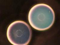 Microspheres Changing Color