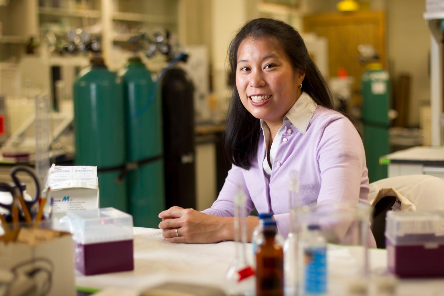 Heileen Hsu-Kim, Duke University