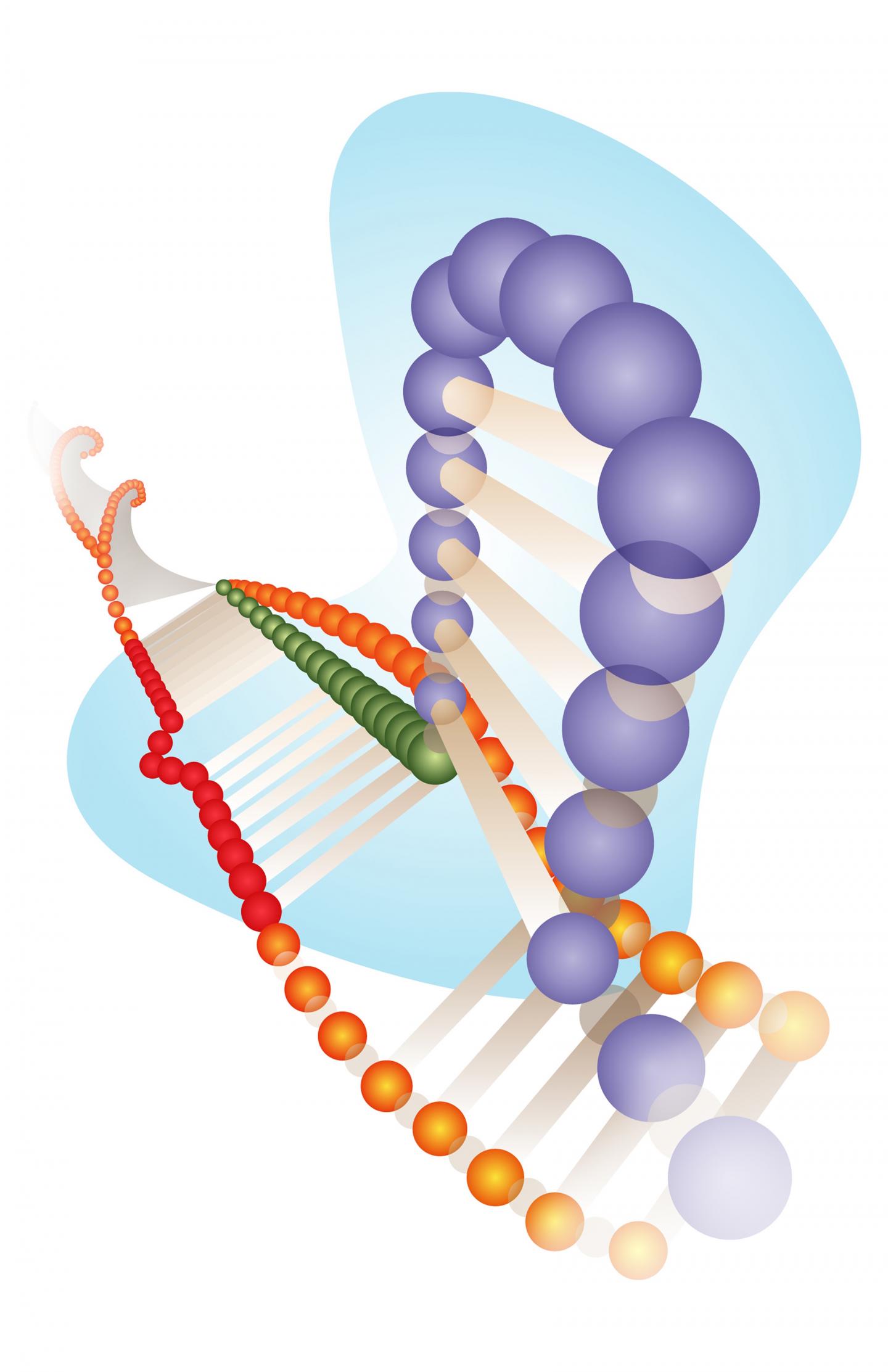 CRISPR 1