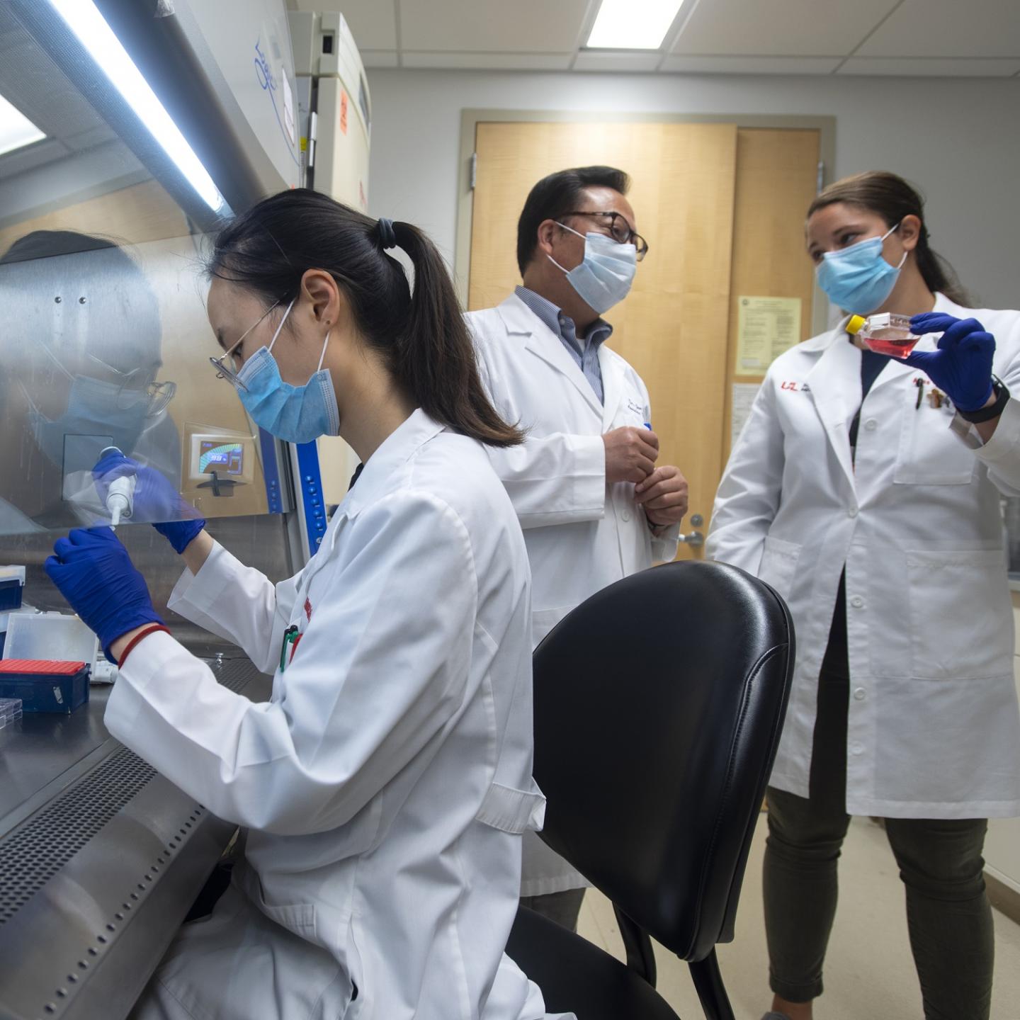 Jun Yan, M.D., Ph.D.