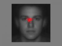 Do Nose-Lookers Perform Worse than Eye-Lookers When Identifying Faces?