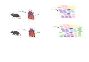 Figure2