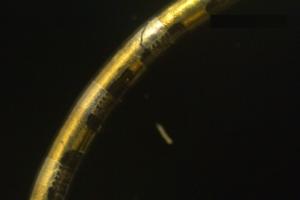 Neurostring