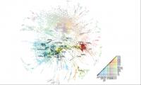 Graphic