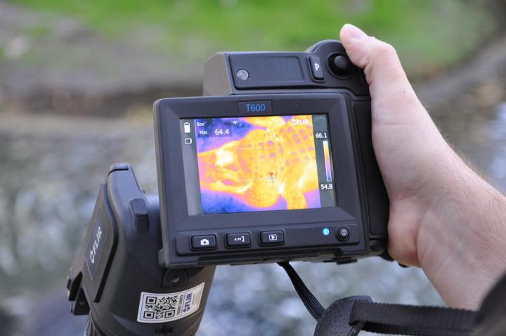 Thermal Imaging
