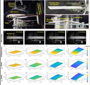 Binocular meta-lens DIC setup of wing deformation and strain field