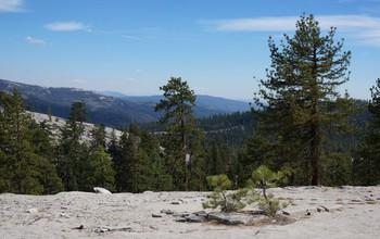 Sierra Nevada Mountain