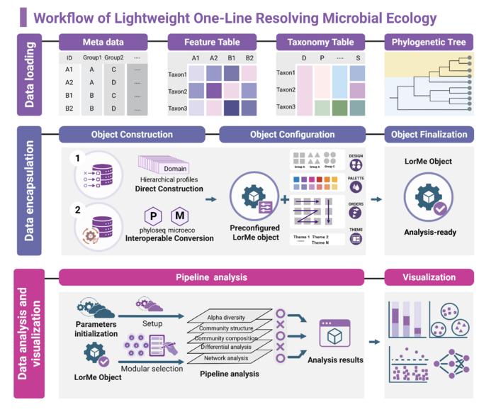 Overview of the analytical workflow implemented in LorMe