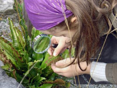 Hands-on Learning