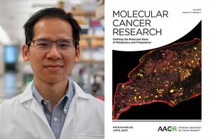 Prostate cancer research
