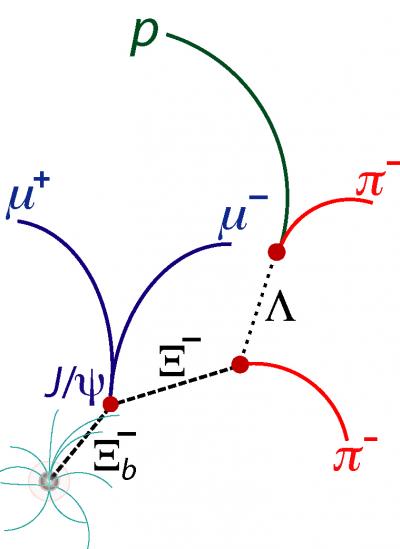 XibSchematics.jpg