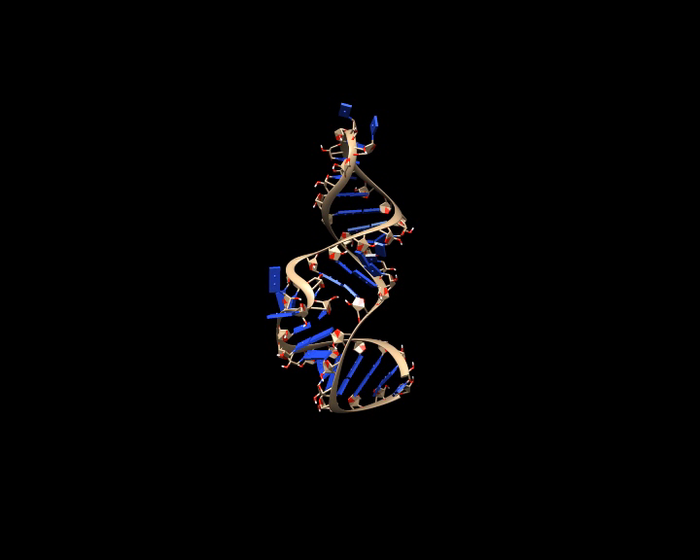 The coronavirus’s tangled strands of RNA could offer new drug targets for COVID-19