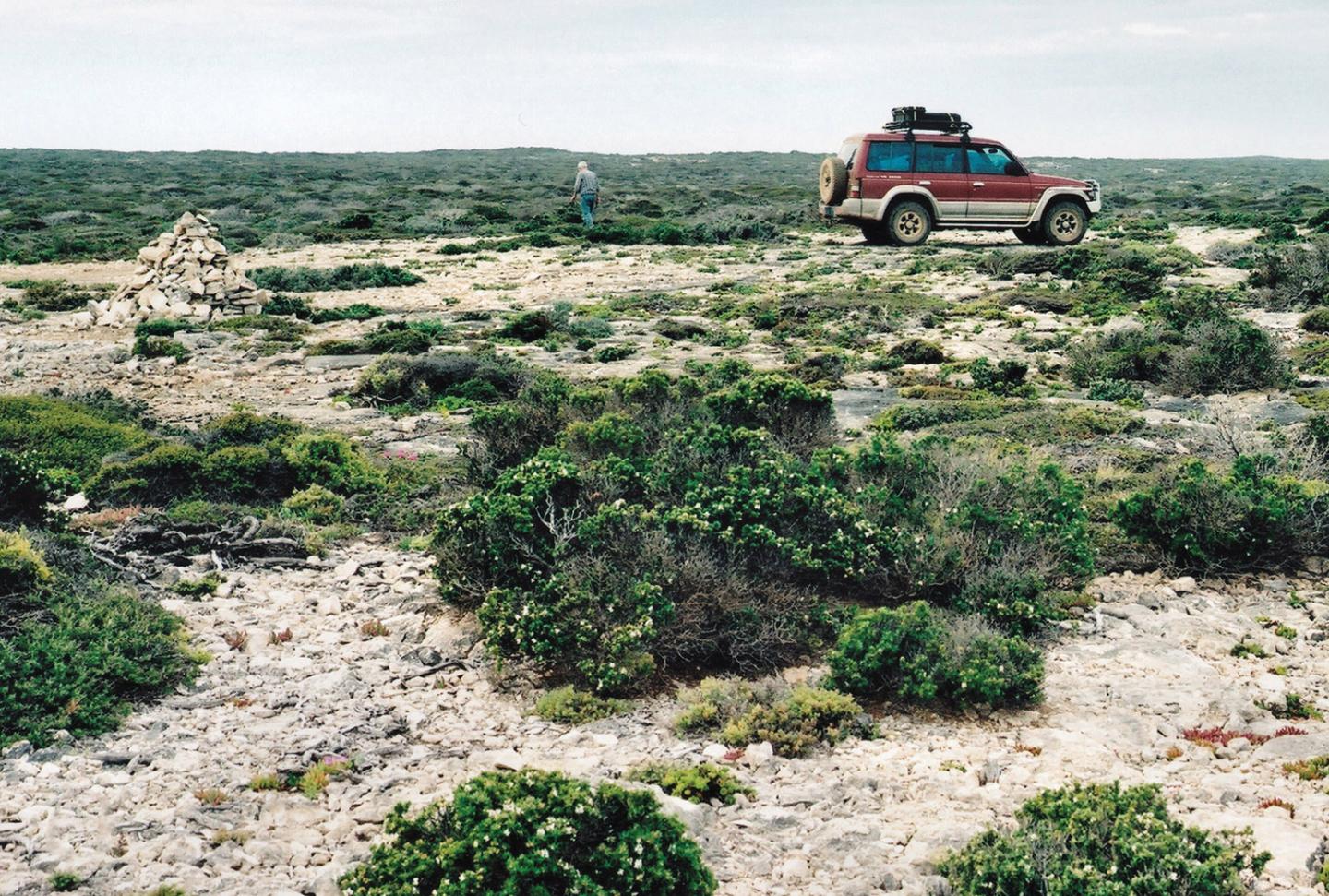Habitat