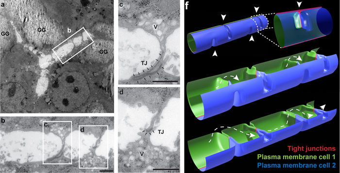 Figure 3 from the research paper