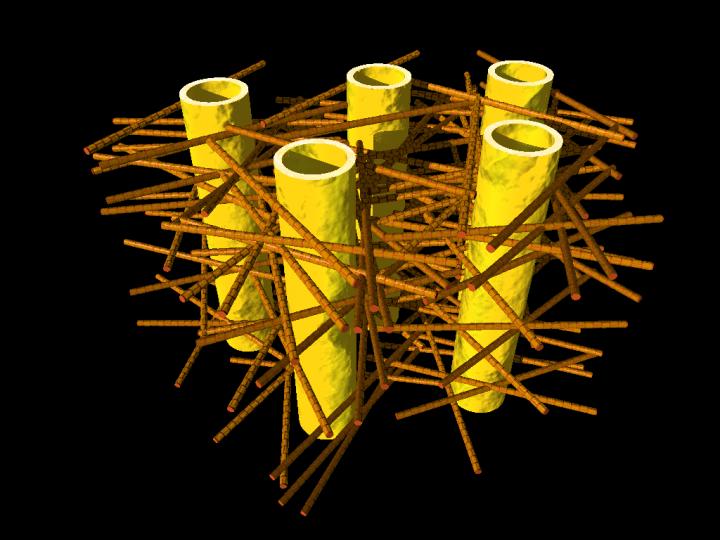 Strong Teeth: Nanostructures under Stress Make Teeth Crack Resistant