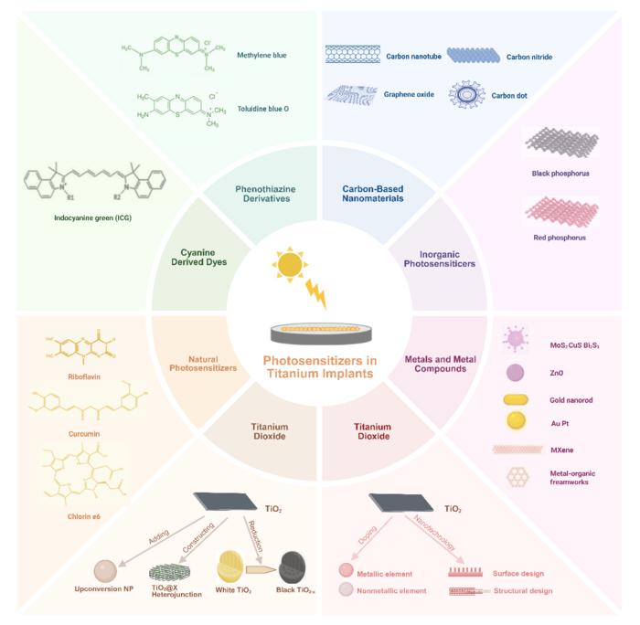 Fig. 2. Schematic diagram of photosensitizers utilized in titanium implants