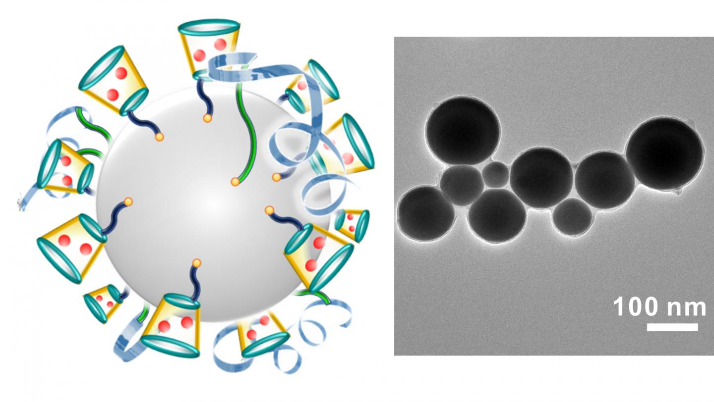 Liquid Metal 'Nano-Terminators' Target Cancer Cells