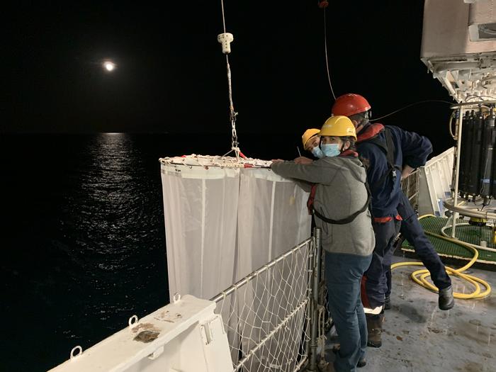 Sampling during Covid