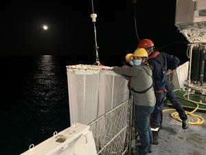 Sampling during Covid