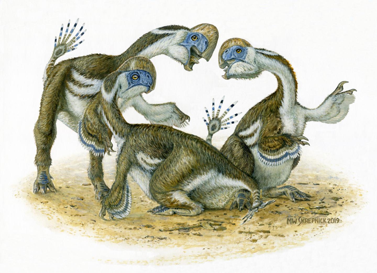 Artist's Impression