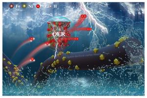 Lignin-derived carbon fibers loaded with NiO/Fe3O4 to promote oxygen evolution reaction