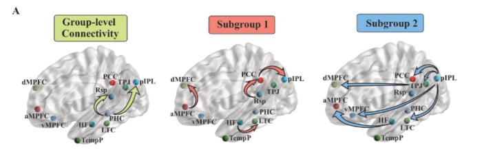 Neural connectivity differences between patient subgroups.