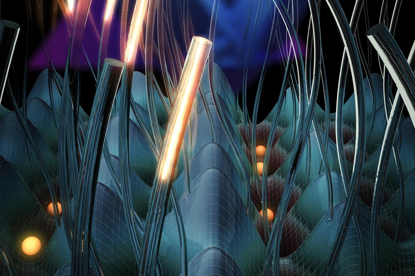 Topological Phases