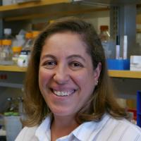 Adriana Estrada, PhD, University of Colorado Anschutz Medical Campus 