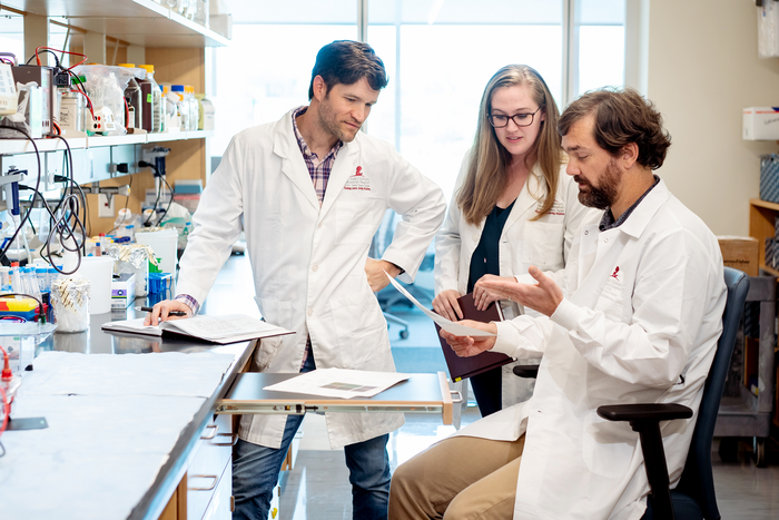 Zakharenko Lab