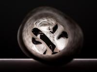 3-D Printed Heart Valve