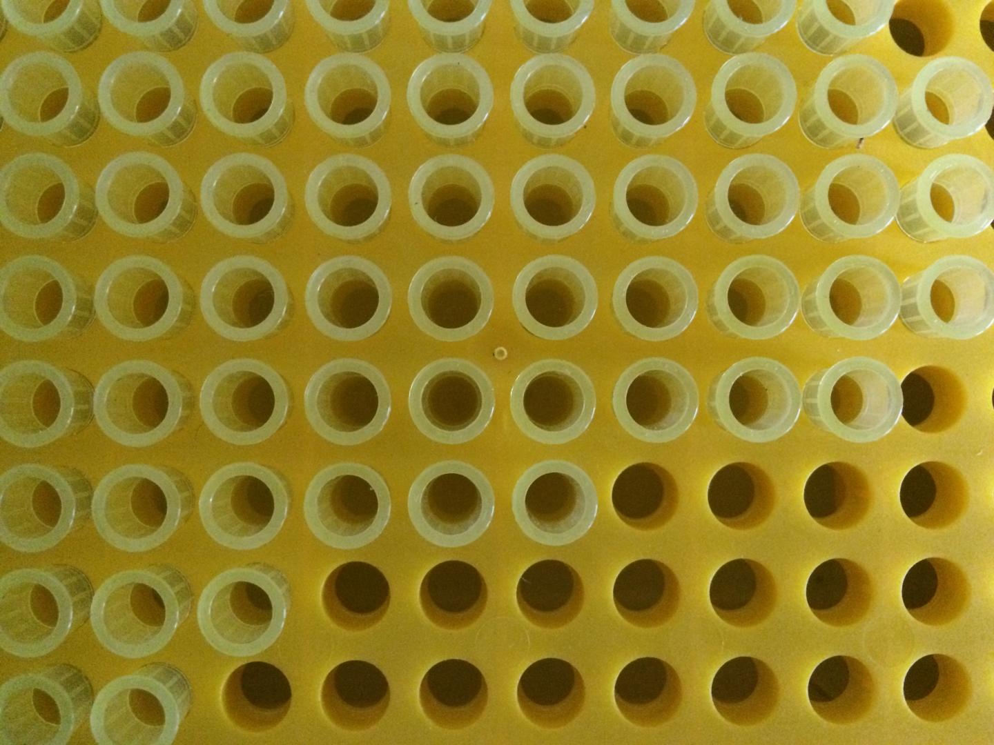 Pipette Heads