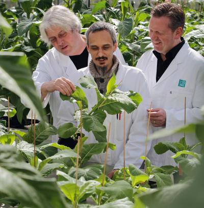 Medicines from Plants