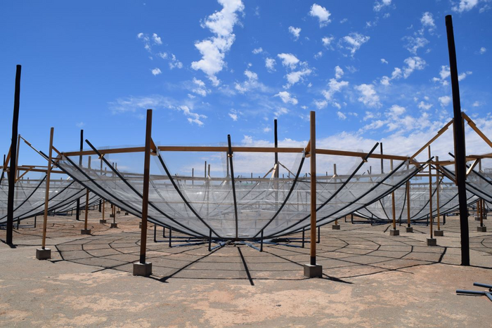 Dishes that make up the HERA radio telescope
