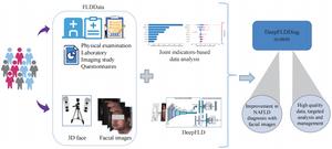 The AI system DeepFLDDiag for NAFLD prediction.