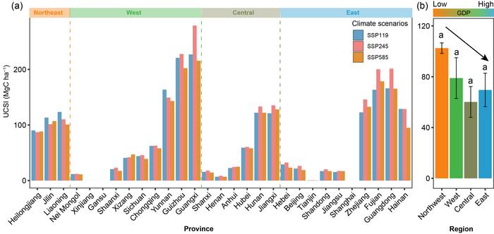 Relationships between carbon sink increment efficiency index and social development level
