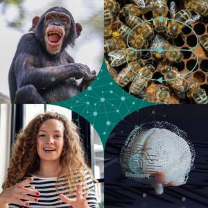 Design features revisited collage