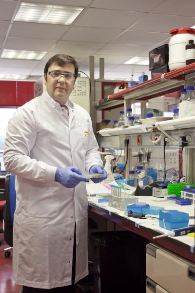 David Olmos, Centro Nacional de Investigaciones Oncologicas