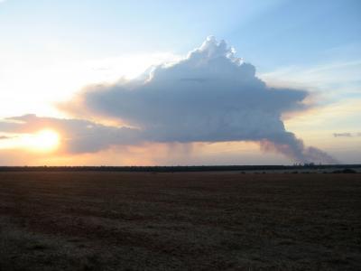 Smoke Plume