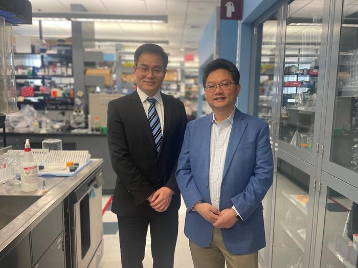 Zheng-Yi Chen of Mass Eye and Ear and Yilai Shu, of Eye & ENT Hospital of Fudan University