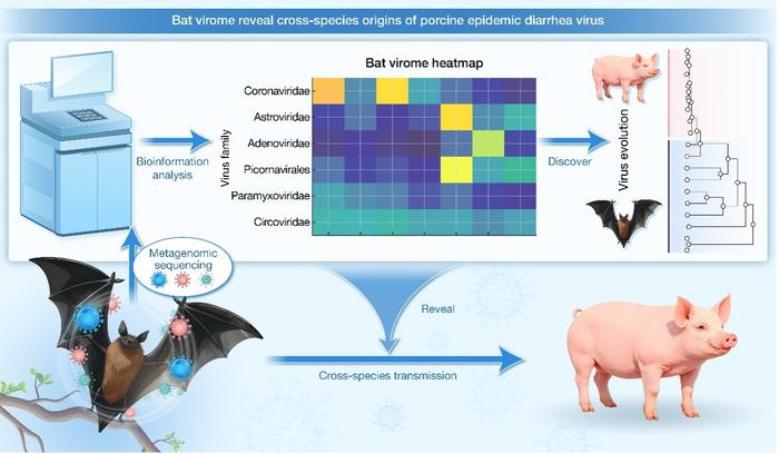 Geographic and ecological drivers of bat virome evolution: Emerging coronaviruses in Indochina Peninsula reveal cross-species origins of porcine epidemic diarrhea virus and regional surveillance gaps