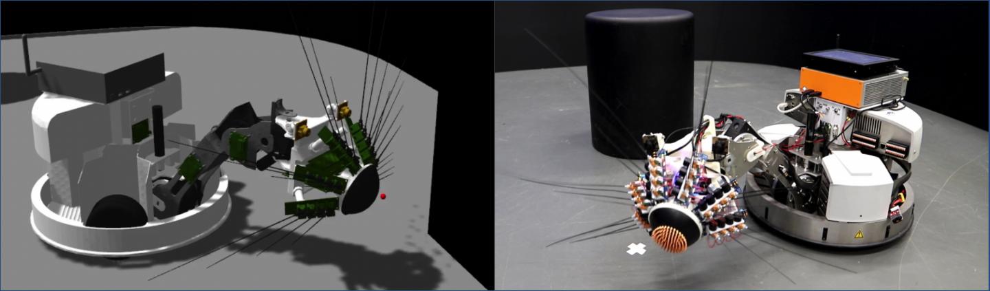 Whiskeye on the EBRAINS Neurorobotics Platform