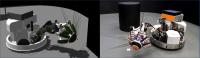 Whiskeye on the EBRAINS Neurorobotics Platform