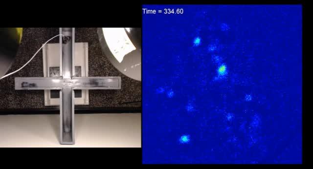 'Anxiety' Cells Identified in the Brain's Hippocampus