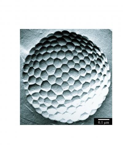 Micrometer-Size Bubble