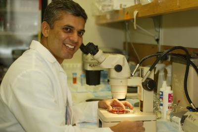 Rohit Kulkarni, M.D., Ph.D.
