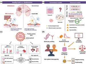 A translational roadmap for BBB-penetrant nanomedicines