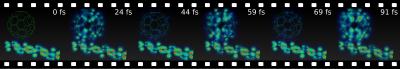 Light-to-Current Conversion in an Organic Solar Cell
