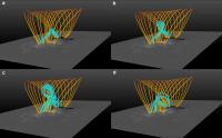Rope Cage Model